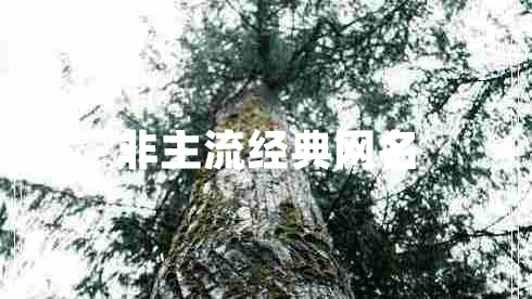 非主流經(jīng)典網(wǎng)名 非主流經(jīng)典網(wǎng)名