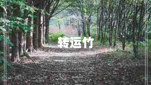 轉運竹