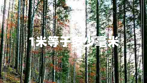 1米等于多少毫米