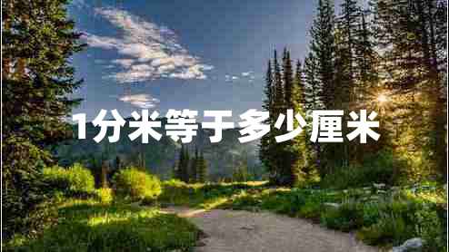 1分米等于多少厘米