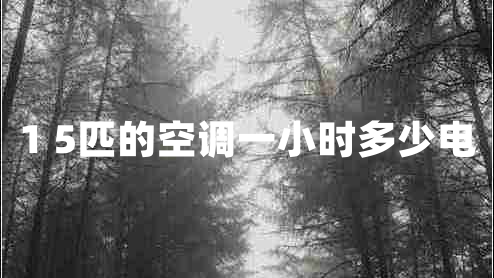 1 5匹的空調一小時(shí)多少電