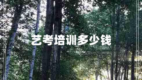 藝考培訓多少錢(qián)