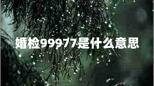 婚檢99977是什么意思