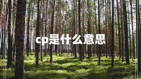 cp是什么意思