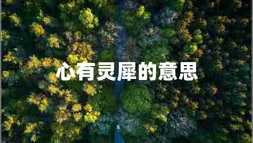 心有靈犀的意思