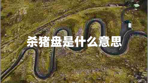 殺豬盤(pán)是什么意思