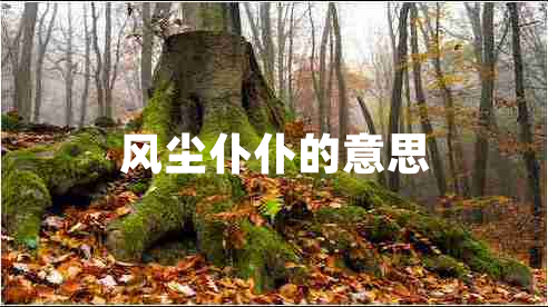 風(fēng)塵仆仆的意思