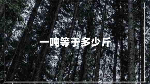 一噸等于多少斤