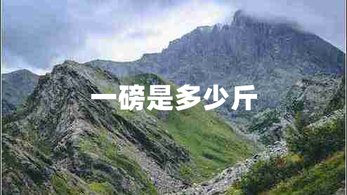 一磅是多少斤 一磅是多少斤