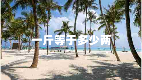 一斤等于多少兩