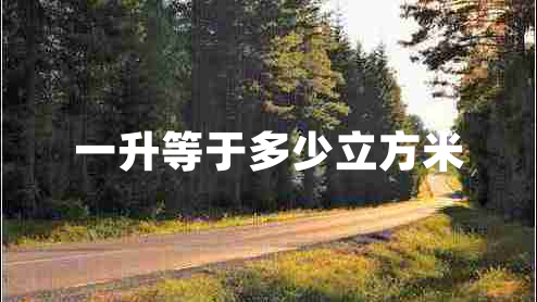 一升等于多少立方米