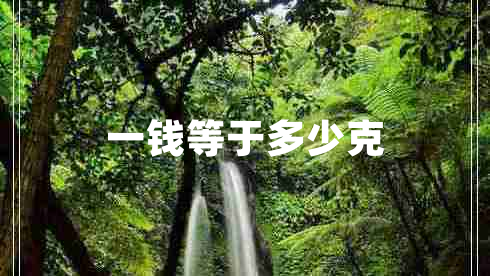 一錢(qián)等于多少克