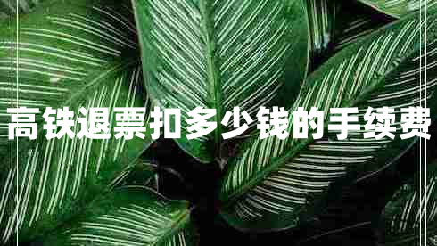 高鐵退票扣多少錢(qián)的手續費