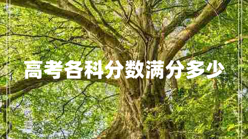 高考各科分數滿(mǎn)分多少