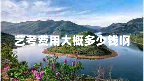 藝考費用大概多少錢(qián)啊