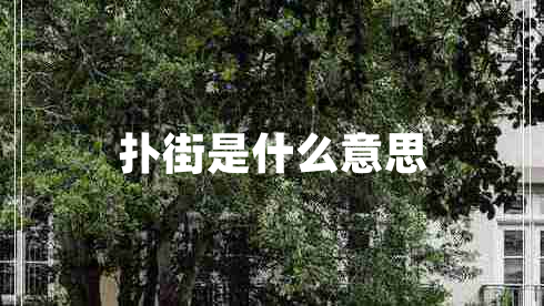 撲街是什么意思