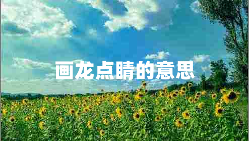 畫(huà)龍點(diǎn)睛的意思