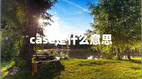 case是什么意思