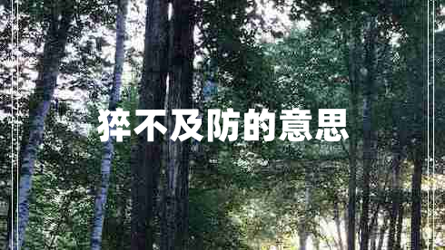 猝不及防的意思 猝不及防的意思