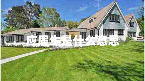 應屆生是什么意思