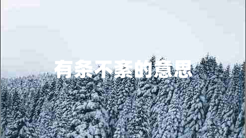 有條不紊的意思