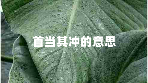 首當其沖的意思