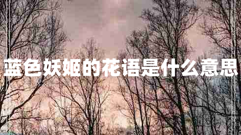 藍色妖姬的花語(yǔ)是什么意思