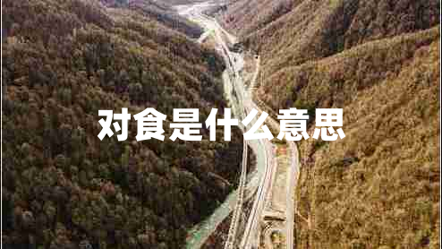 對食是什么意思