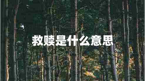 救贖是什么意思