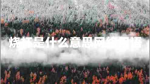 燒杯是什么意思網(wǎng)絡(luò )用語(yǔ)