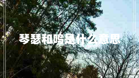 琴瑟和鳴是什么意思