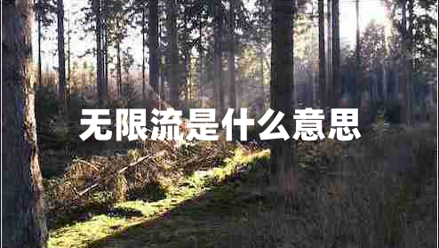 無(wú)限流是什么意思