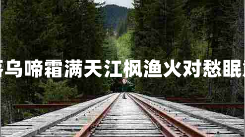 月落烏啼霜滿(mǎn)天江楓漁火對愁眠意思