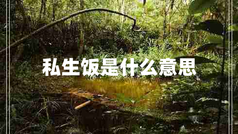 私生飯是什么意思