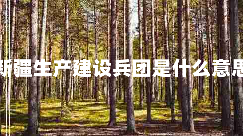新疆生產(chǎn)建設兵團是什么意思