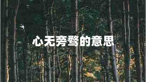 心無(wú)旁騖的意思