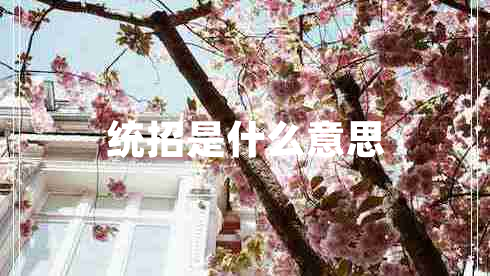 統招是什么意思