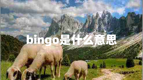 bingo是什么意思 bingo是什么意思