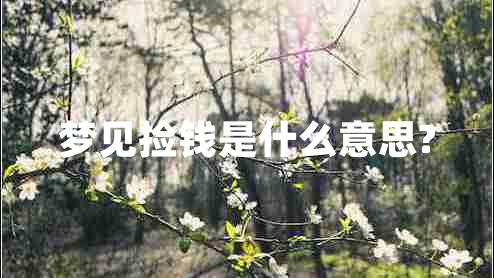 夢(mèng)見(jiàn)撿錢(qián)是什么意思?