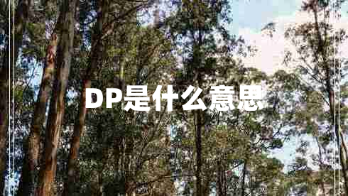 DP是什么意思
