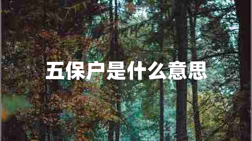 五保戶(hù)是什么意思