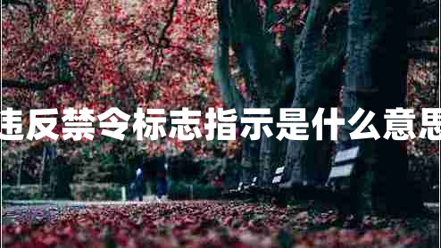 違反禁令標志指示是什么意思