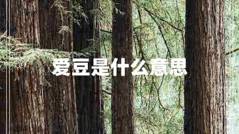 愛(ài)豆是什么意思