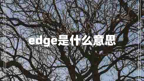 edge是什么意思 edge是什么意思