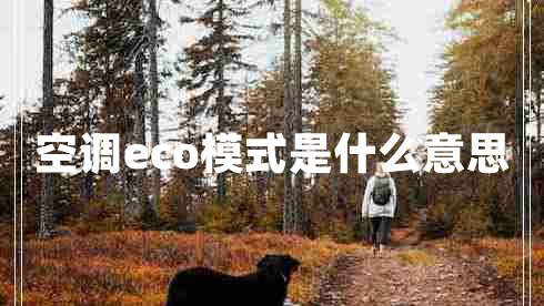 空調eco模式是什么意思