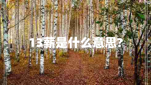 13薪是什么意思? 13薪是什么意思?