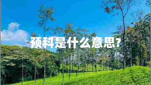 預科是什么意思?