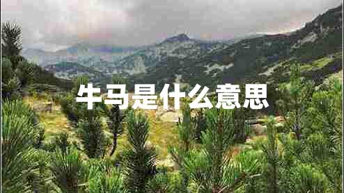 牛馬是什么意思