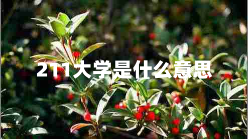 211大學(xué)是什么意思