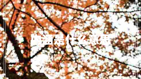 內涵是什么意思